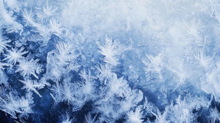 A stunning close-up of delicate frost patterns on a glass surface, showcasing intricate ice formations in cool blue tones.