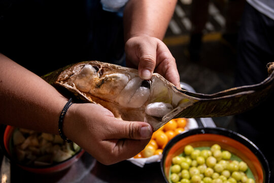 Manos mostrando fruto de Guaba, Valle del Cauca Colombia, mercado de frutos

Keywords language: 