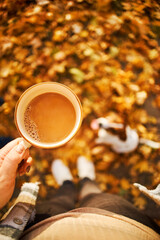 Cup of coffee in autumn leaves. Top shot.