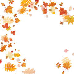 autumn leaves frame