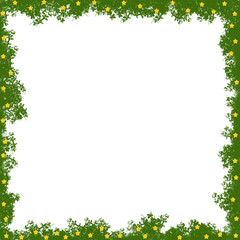 frame of leaf star flowers hand drawing 