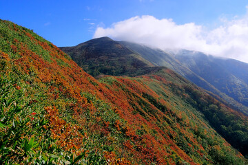 稜線が霧氷に覆われる秋半ばの平標山