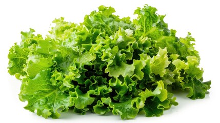 Fototapeta premium Fresh lettuce leaves sit atop a clean white surface, ideal for food styling or still life photography
