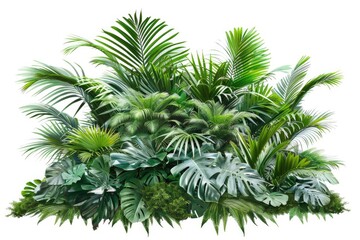 A collection of colorful tropical plants on a clean white background, ideal for decoration or design