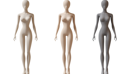 Silhouettes of male and female anatomy models showcasing human body structure in a stylish and fitness-focused design