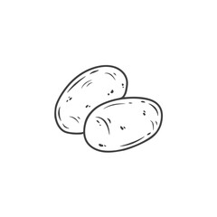 hand drawn potato in sketch style. Potato doodle. Vector illustration
