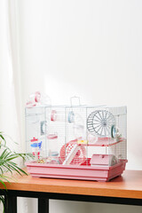 A vibrant hamster cage with wheels and accessories set against a backdrop of green leaves indoors