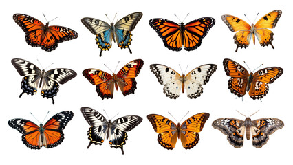 Butterfly animal png element set, transparent background