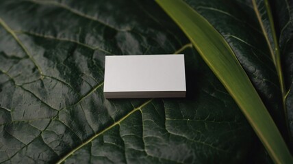 blank Business card mockup