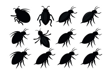 Fototapeta premium A set of Flea