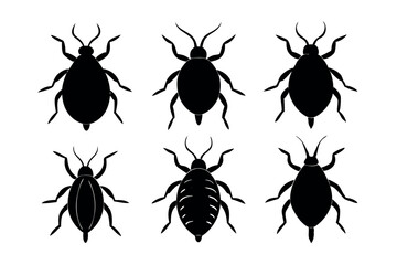 A set of Flea