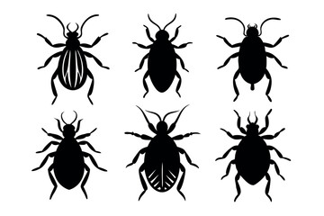A set of Flea