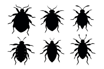A set of Flea