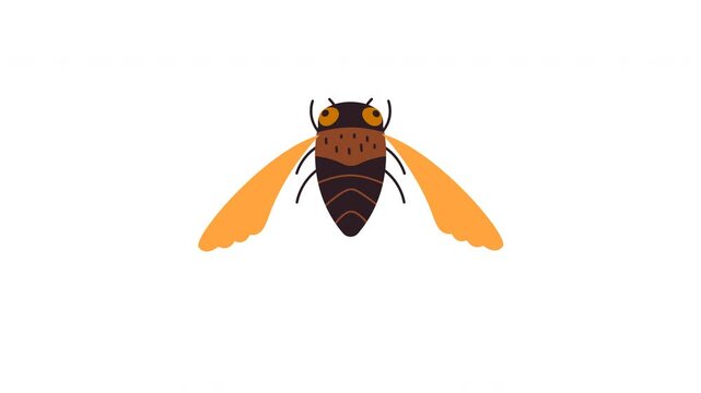 Illustrated Cicada with Open Wings in Minimalist and Simple Art Illustration