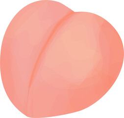Watercolor peach illustration 