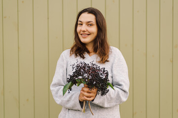 Woman holds in hands clusters fruit black elderberry in garden (Sambucus nigra). Elder, black...
