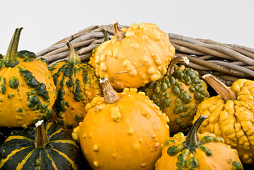 Yellow pumpkins in basket