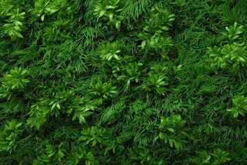 Dense green foliage background with various types of leaves and greenery, creating a lush, natural botanical texture.