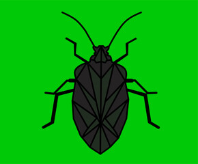 Cockroaches. Vector Cockroach. Cockroach Geometry Design. Cockroach green background