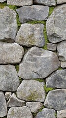 Fototapeta premium Ancient stone wall covered in vibrant green moss in a serene outdoor setting