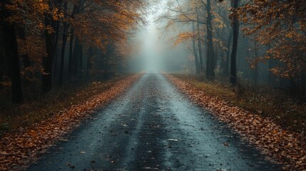 Naklejka premium Show an empty, leaf-covered road leading through a misty autumn forest, with a single path stretching into the distance, evoking a sense of solitude and introspection.