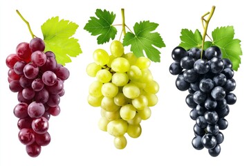 Fototapeta premium Set of various types of grapes (Black, white and red grape) with leaf flying isolated on white background , ai