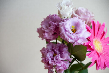 トルコ桔梗とガーベラ