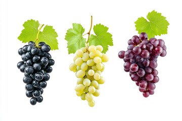 Set of various types of grapes (Black, white and red grape) with leaf flying isolated on white background , ai