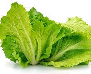 Fresh lettuce, isolated on white background
