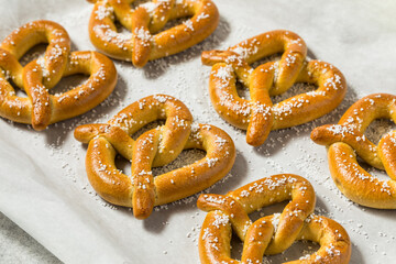 Homemade Bavarian Soft Pretzels with Salt