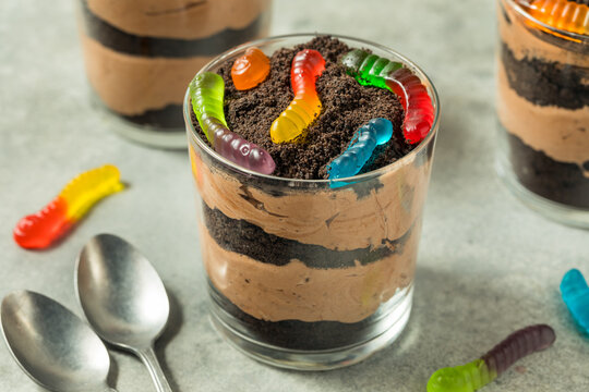 Sweet Sugary Dirt Chocolate Pudding with Gummy Worms