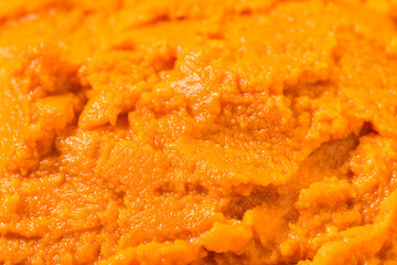 Organic Raw Orange Canned Pumpkin Puree