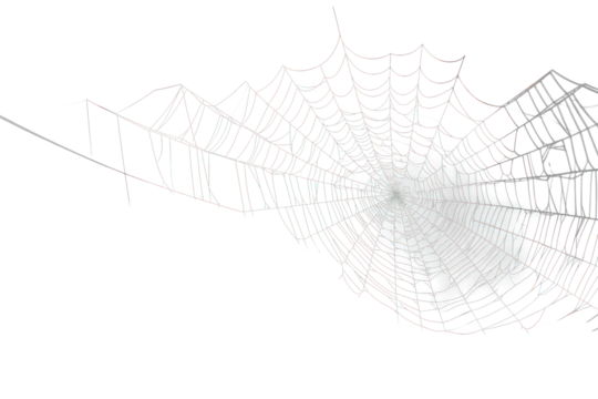 PNG Spider web backgrounds complexity concentric.