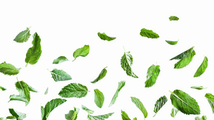 Fototapeta premium set of mint leaves isolated on white background