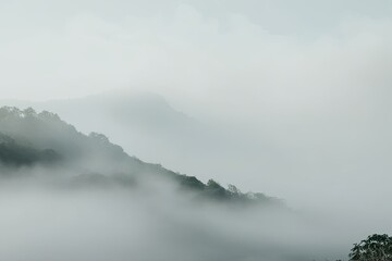 Delicate Mist Layering on Crisp White Background for Elegant Aesthetics