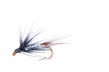 Fototapeta premium Black silver and brown fishing fly isolated alone on white background. Concept lure, angling, leisure, copy space.