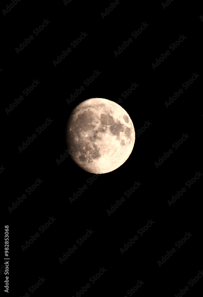 Wall mural full moon