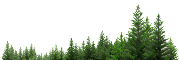 a set of woodland trees and shrubs, tall pine trees, green shrubs, 