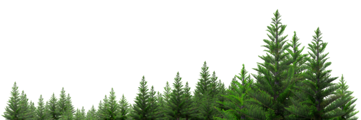 a set of woodland trees and shrubs, tall pine trees, green shrubs, 