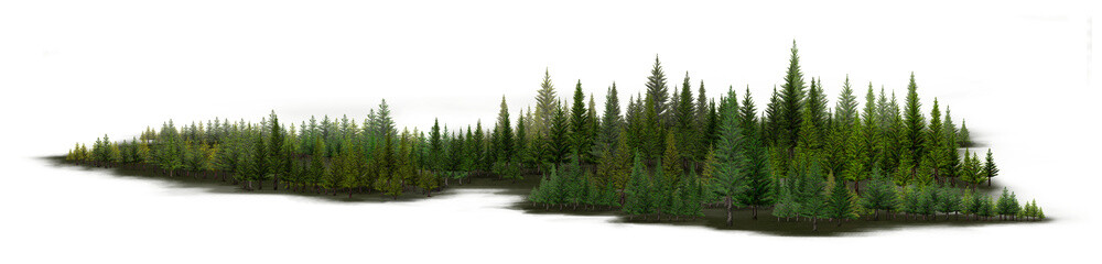 a set of woodland trees and shrubs, tall pine trees, green shrubs, 