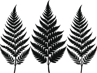 Naklejka premium A pack of fern leaf silhouettes vector illustration 