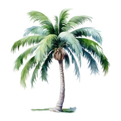 PNG Tree plant tranquility palm tree.