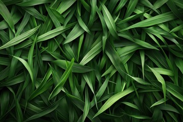 Fototapeta premium Close-up image of several overlapping long green leaves with rich textures and various shades of green, creating an abstract and lush natural background.