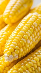 A genetically modified corn cob, its kernels larger and shinier than normal, reflecting the increased resistance to pests and drought engineered into the crop.