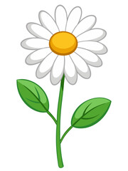 Stunning White Daisy Illustration with Yellow Center and Lush Green Leaves - Perfect for Floral Designs and Botanical Themes, Daisy Vector Illustration