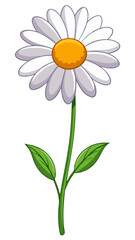Stunning White Daisy Illustration with Yellow Center and Lush Green Leaves - Perfect for Floral Designs and Botanical Themes, Daisy Vector Illustration