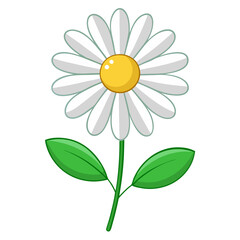Stunning White Daisy Illustration with Yellow Center and Lush Green Leaves - Perfect for Floral Designs and Botanical Themes, Daisy Vector Illustration