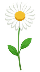 Stunning White Daisy Illustration with Yellow Center and Lush Green Leaves - Perfect for Floral Designs and Botanical Themes, Daisy Vector Illustration