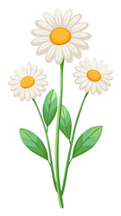 Stunning White Daisy Illustration with Yellow Center and Lush Green Leaves - Perfect for Floral Designs and Botanical Themes, Daisy Vector Illustration
