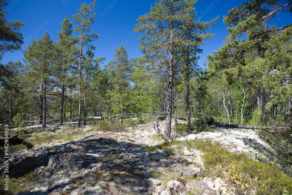 Wall mural Russia Karelia landscape on a sunny summer day